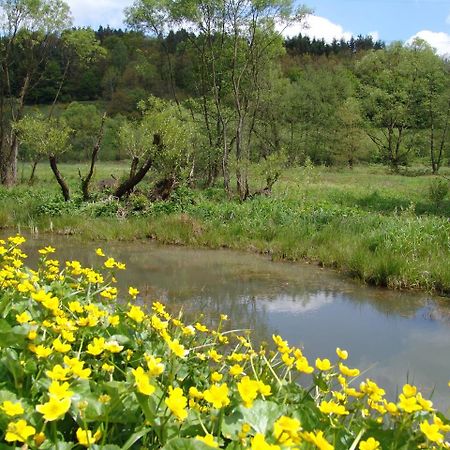 Flair Hotel Hochspessart Heigenbruecken Zewnętrze zdjęcie